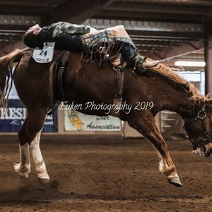 Meet your Posher, Judy